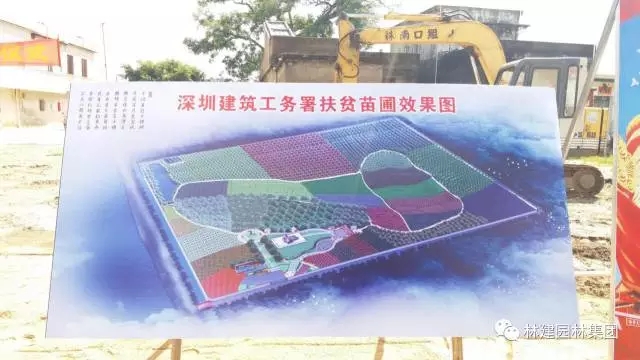 2.webp.jpg 2.webp.jpg