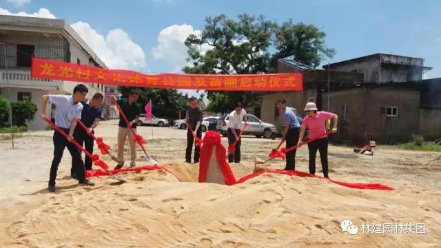 7.webp.jpg 7.webp.jpg