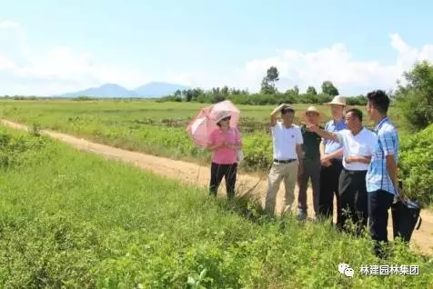 10.webp.jpg 10.webp.jpg