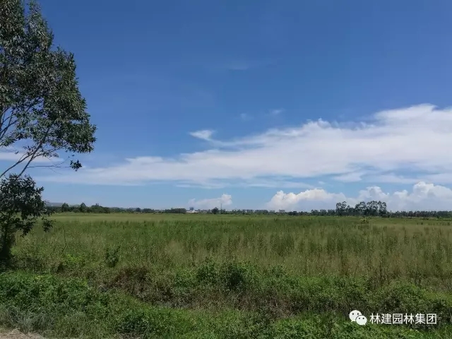 12.webp.jpg 12.webp.jpg