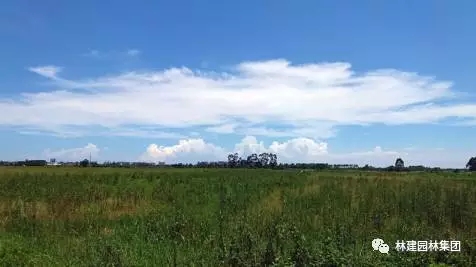 11.webp.jpg 11.webp.jpg