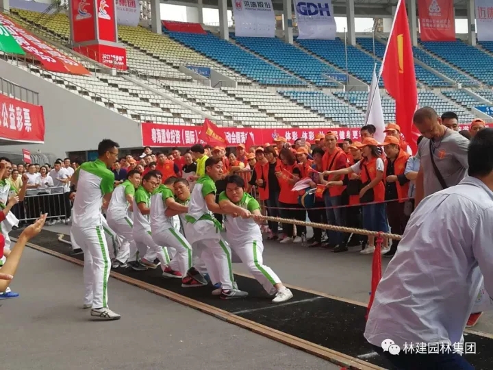 7.webp.jpg 7.webp.jpg