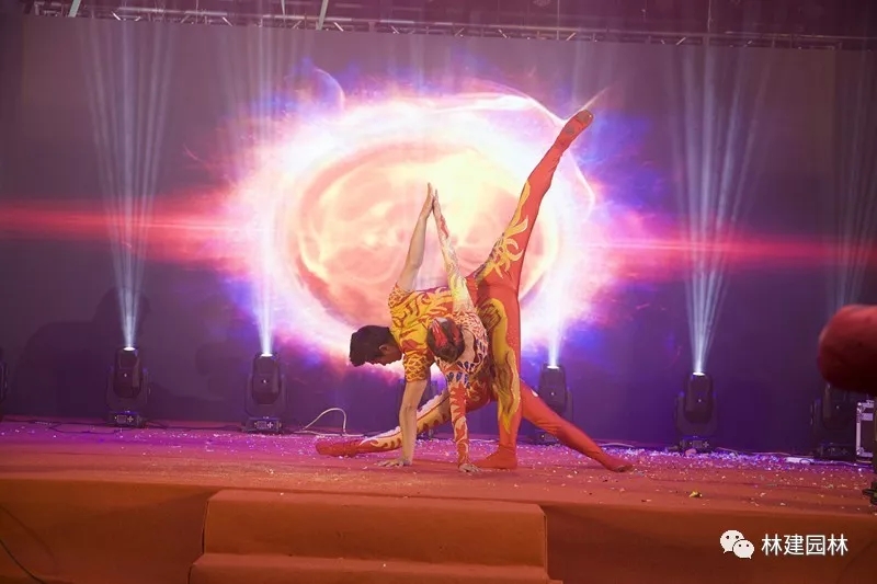 26.webp.jpg 26.webp.jpg