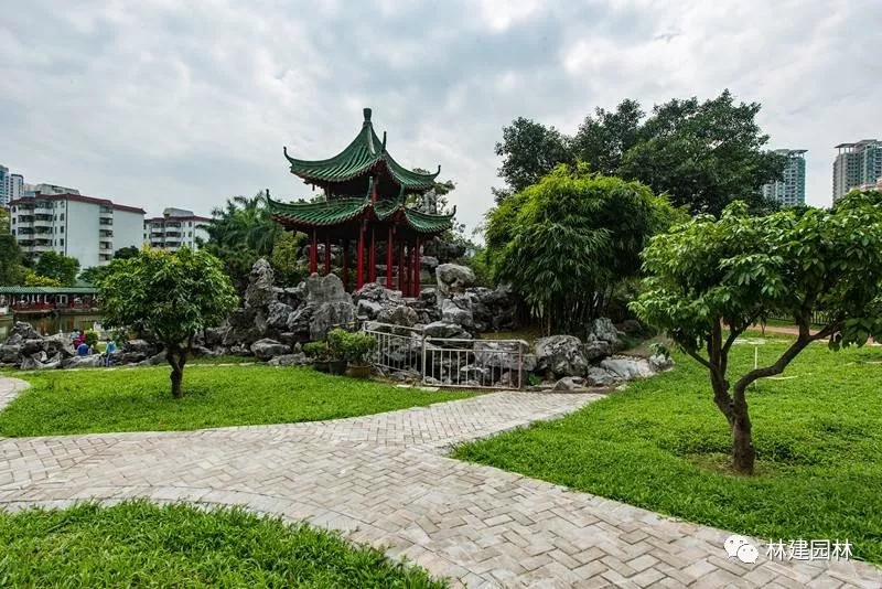 4.webp (1).jpg 4.webp (1).jpg