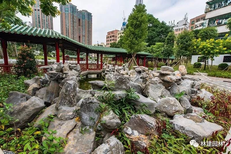 5.webp (1).jpg 5.webp (1).jpg