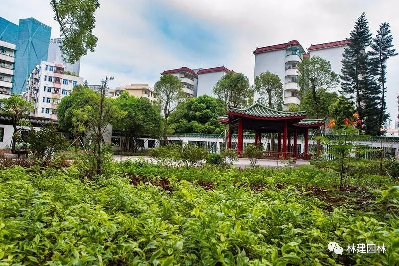 6.webp (1).jpg 6.webp (1).jpg