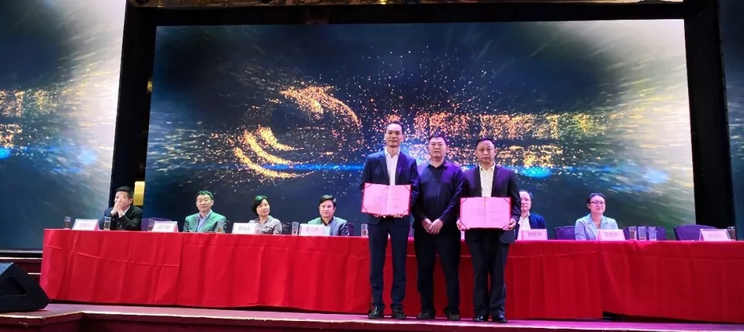 12.webp.jpg 12.webp.jpg