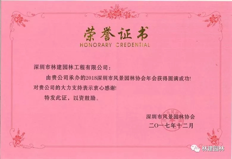 13.webp.jpg 13.webp.jpg