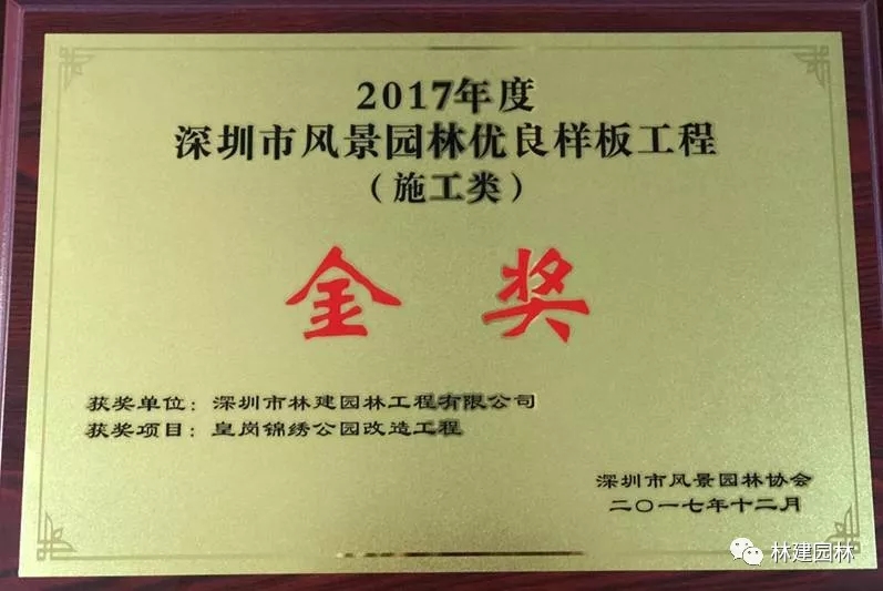 2.webp (1).jpg 2.webp (1).jpg